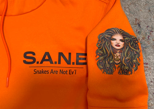 Limited Edition S. A. N. E. Hoodie
