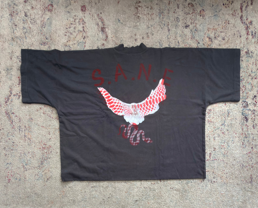 S. A. N. E. Exclusive oversize large crop top Dove T