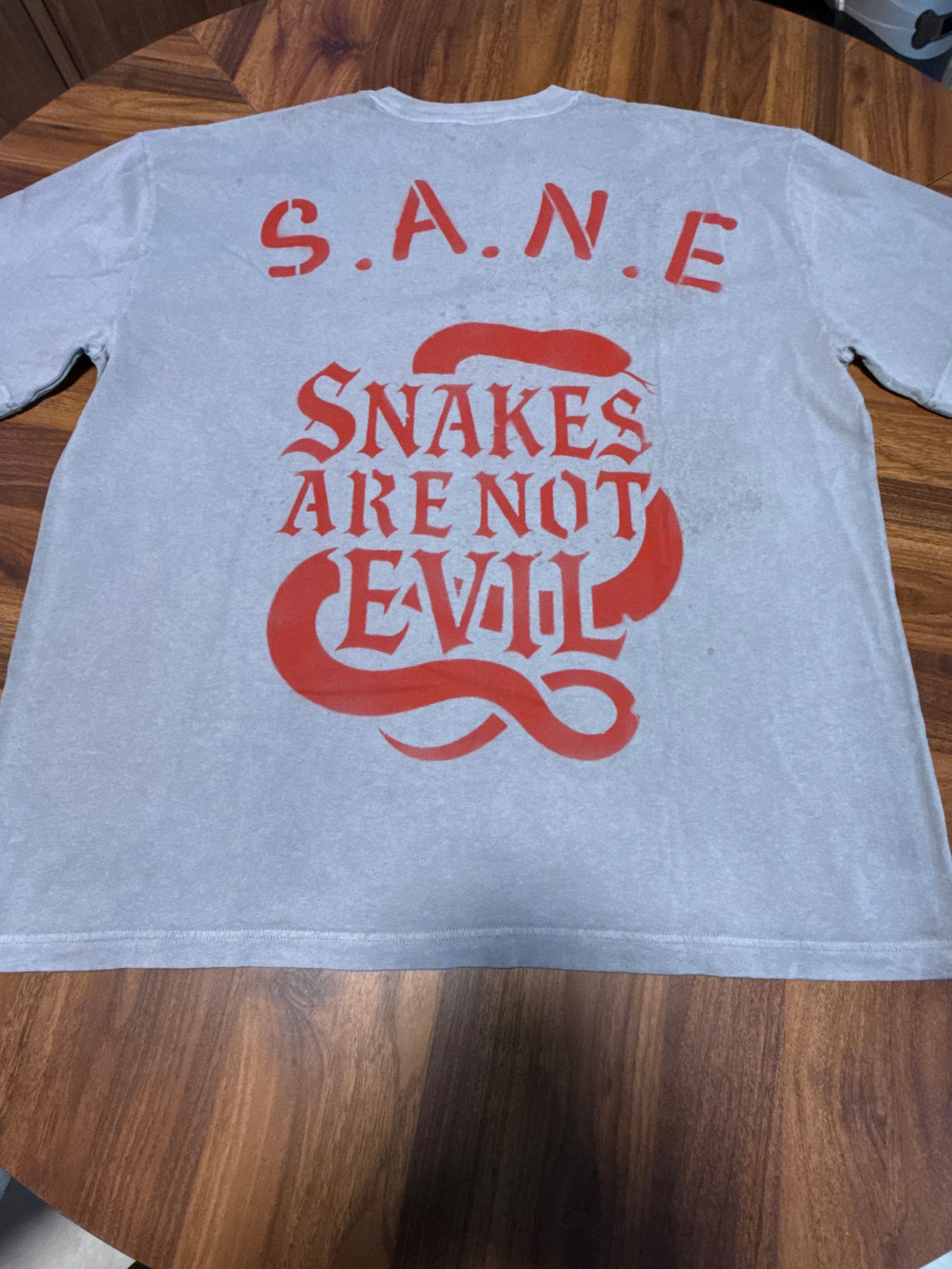 S. A. N. E. extra large oversize T-shirt