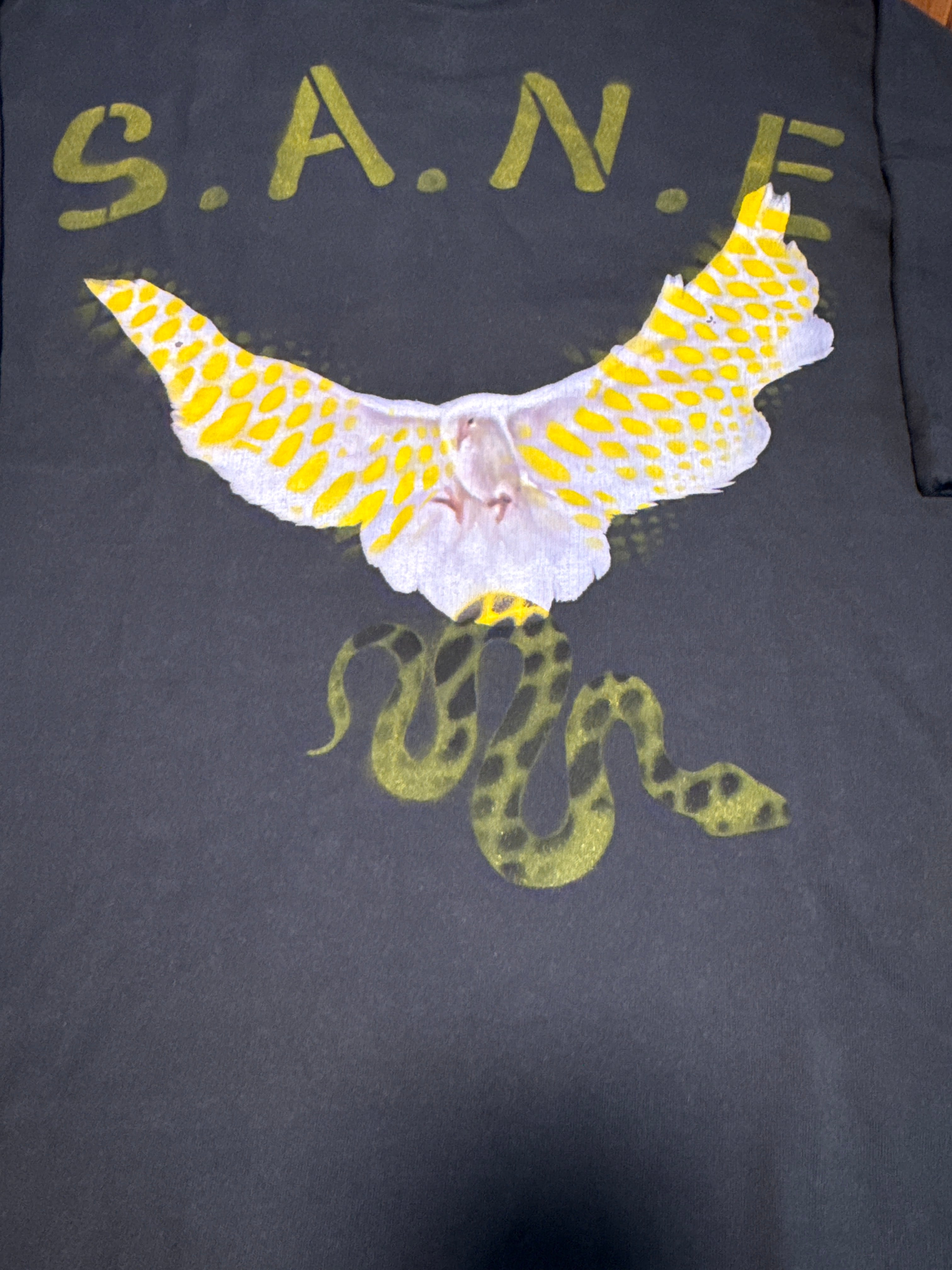 S. A. N. E. exclusive oversize large crop top dove T