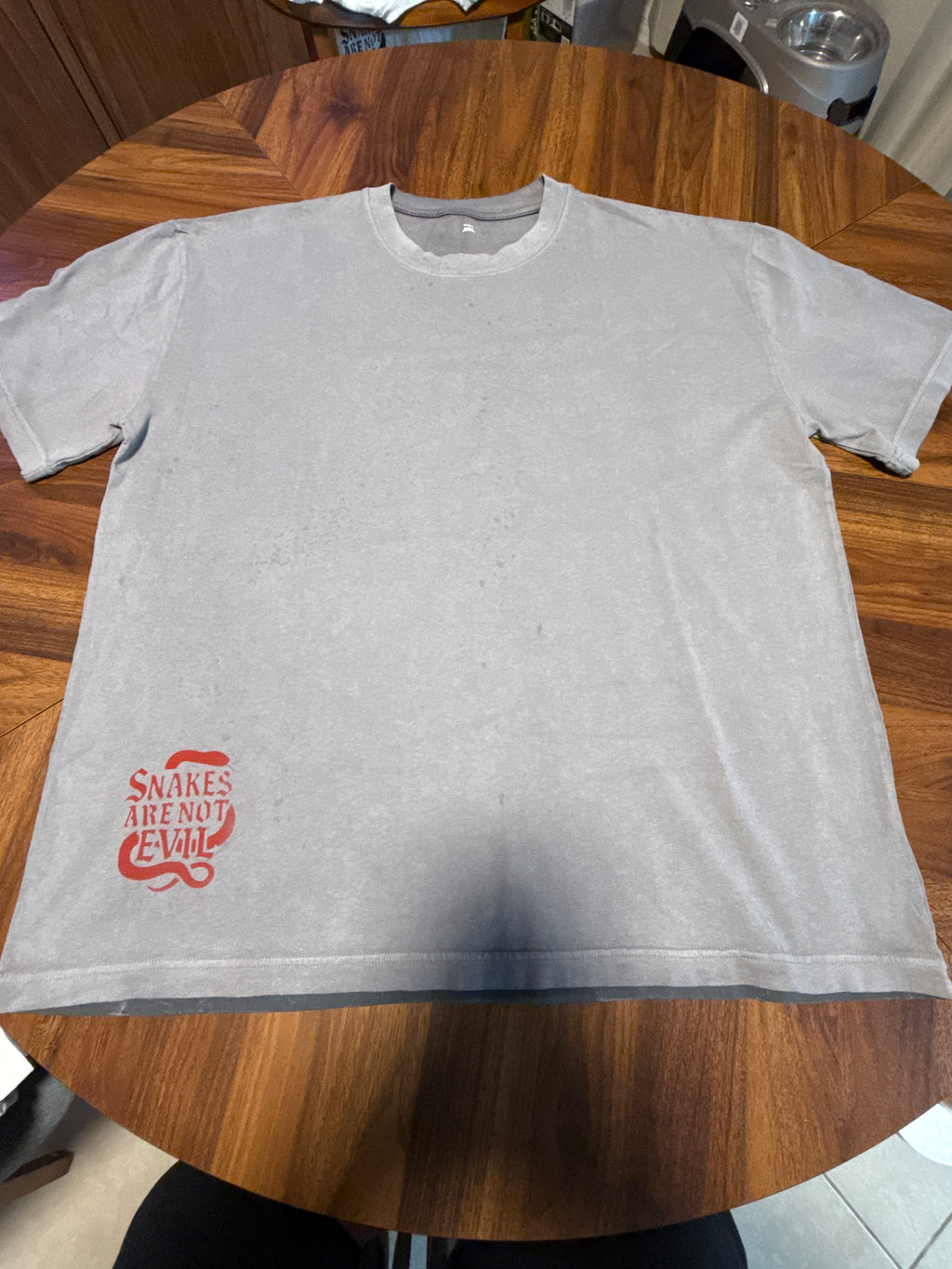 S. A. N. E. extra large oversize T-shirt