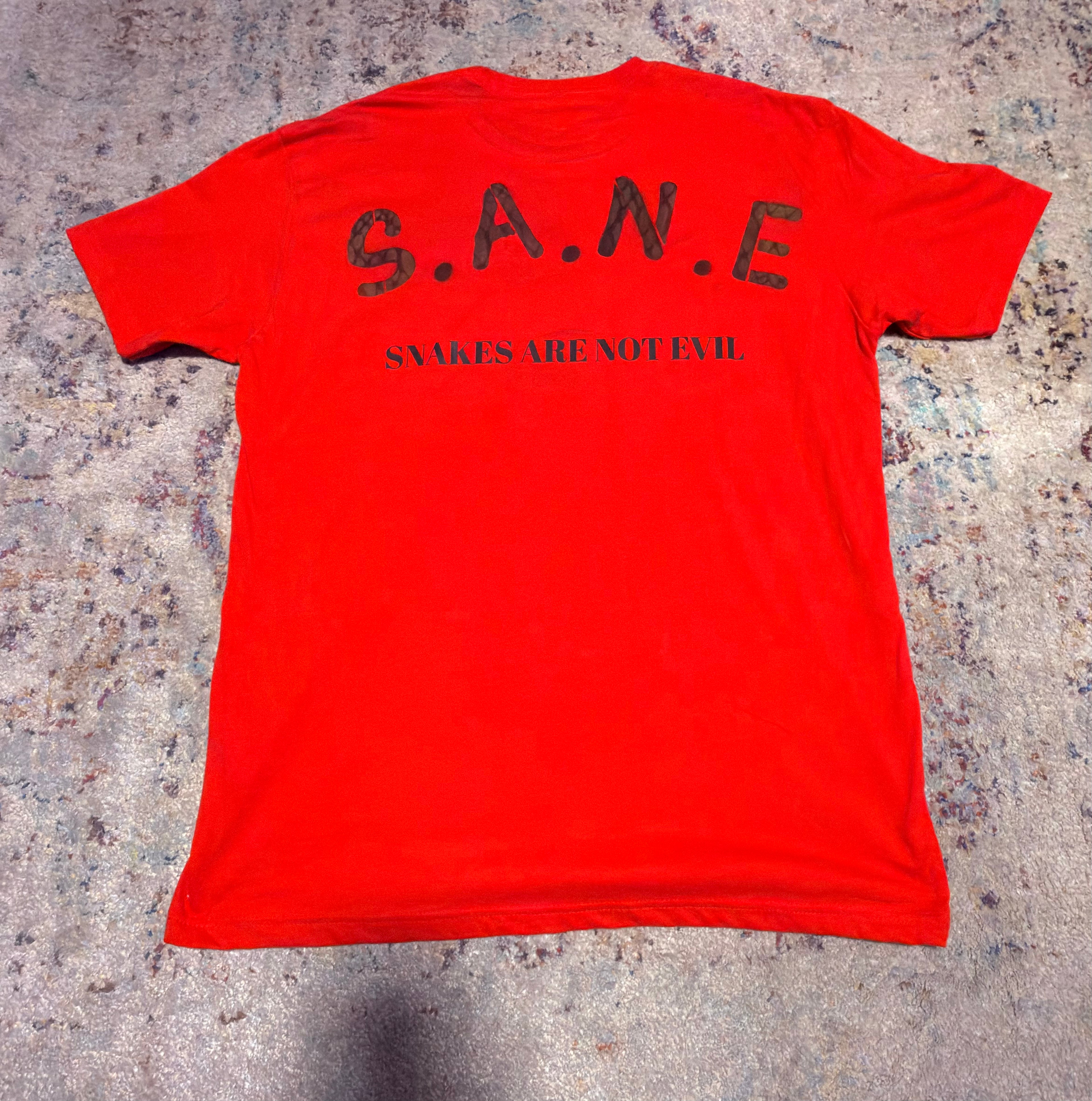 S. A. N. E. / T - Shirt